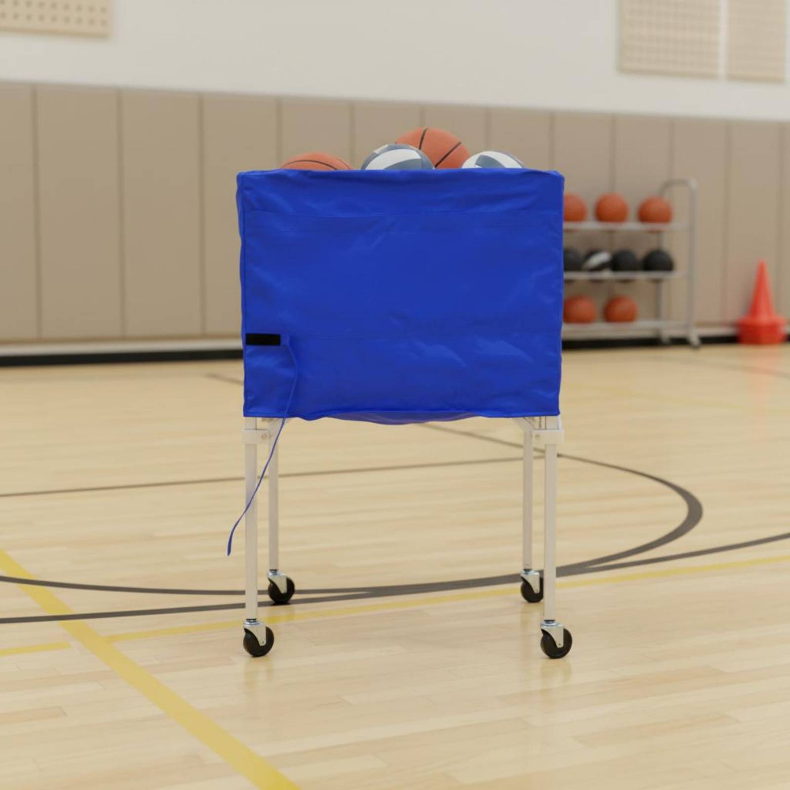 Carrito Plegable para Balones, - Gym Ball reseña y precio