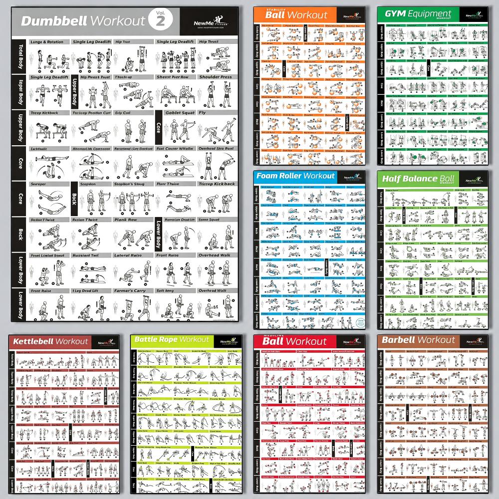 Póster de entrenamiento de Pil - Sports Equipment Poster reseña y precio