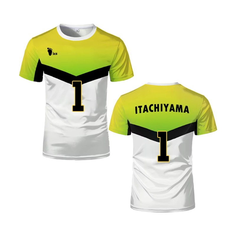 Camiseta de Anime Japonés Haik - Gym Ball reseña y precio